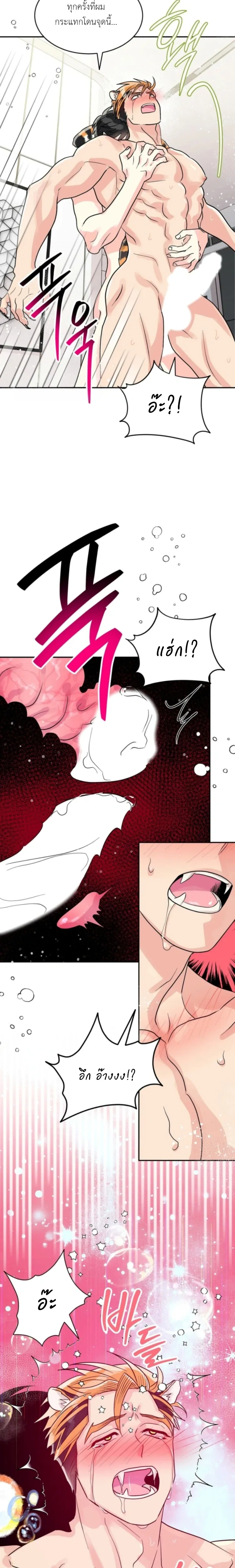 Don’t You Like This Kind of Snake? – งูแบบผมไม่ตรงสเปกคุณหรอครับ ? ตอนที่ 2 หน้า 12