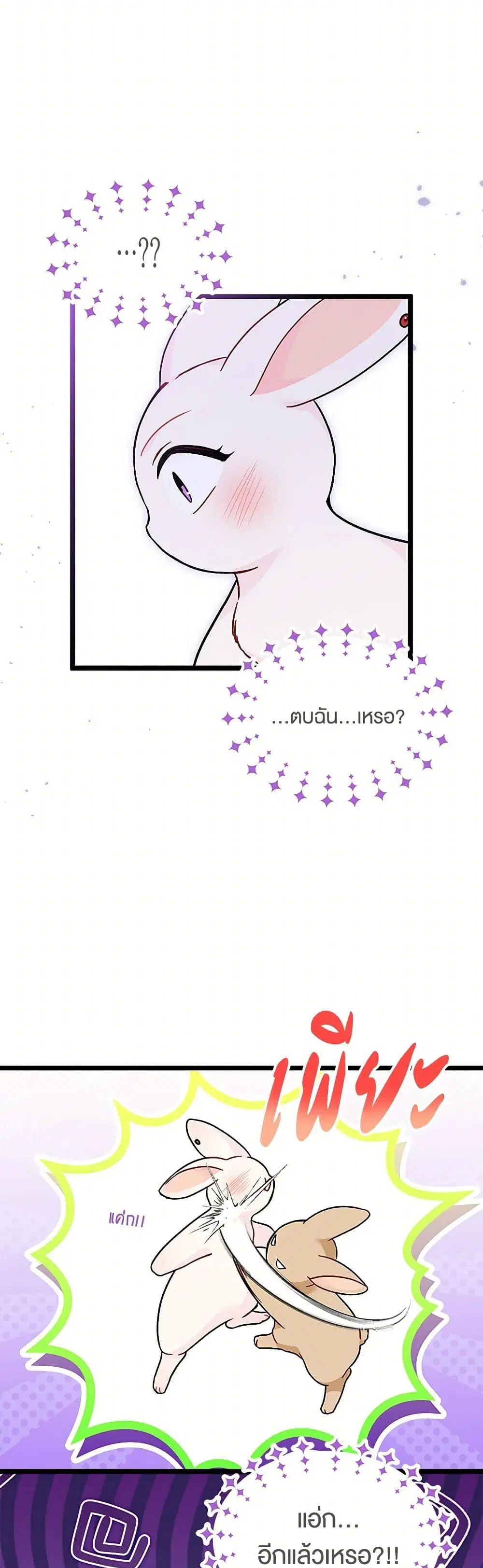 The Symbiotic Relationship Between a Panther and a Rabbit ตอนที่ 155 หน้า 13