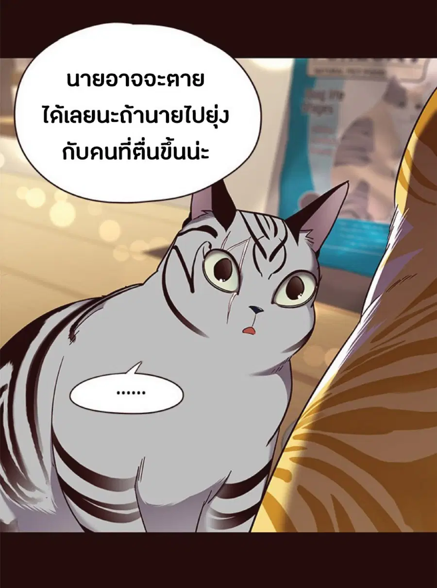 Eleceed ตอนที่ 67 หน้า 41