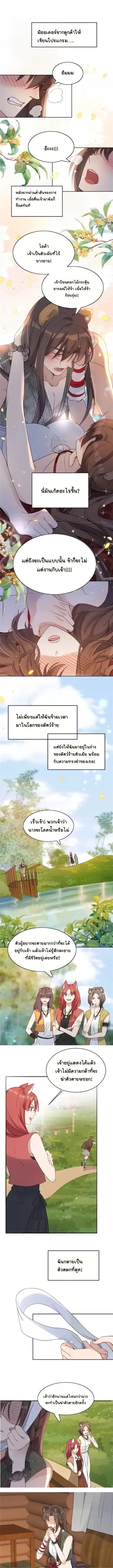 How to Tame Your Beast Husband – วิธีปราบสามี(อสูร)ของคุณ ตอนที่ 1 หน้า 1
