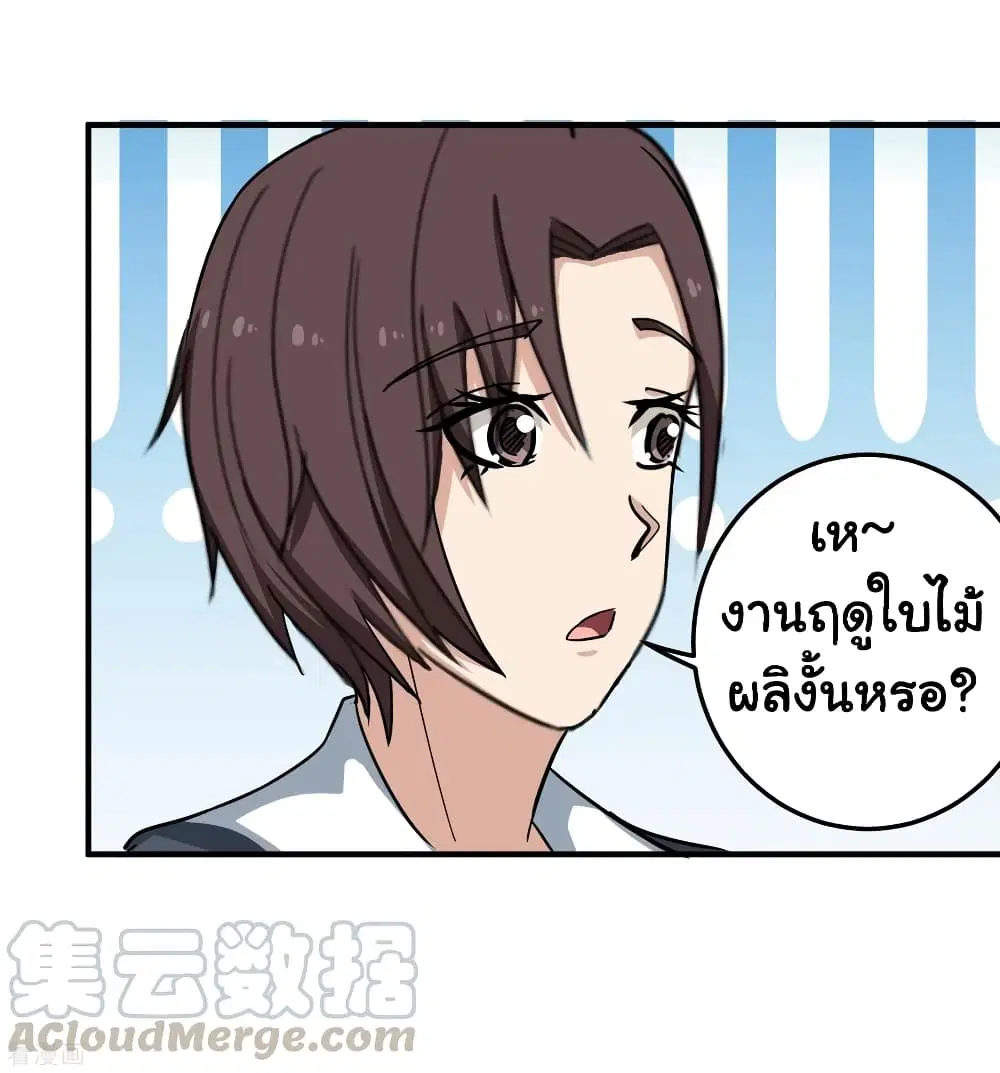 School Flower Master ตอนที่ 42 หน้า 33