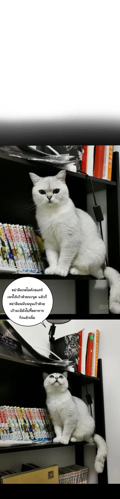 King Star Emperor ตอนที่ 7 หน้า 36