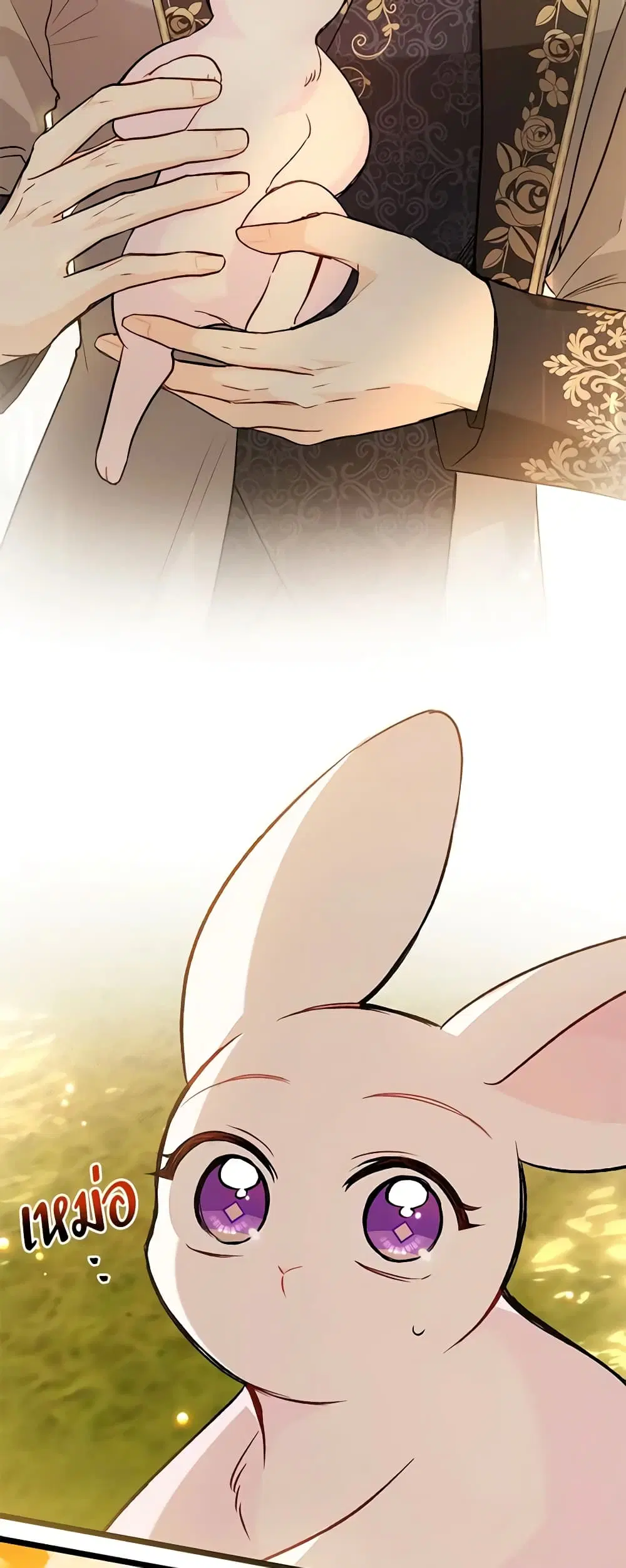 The Symbiotic Relationship Between a Panther and a Rabbit ตอนที่ 128 หน้า 12
