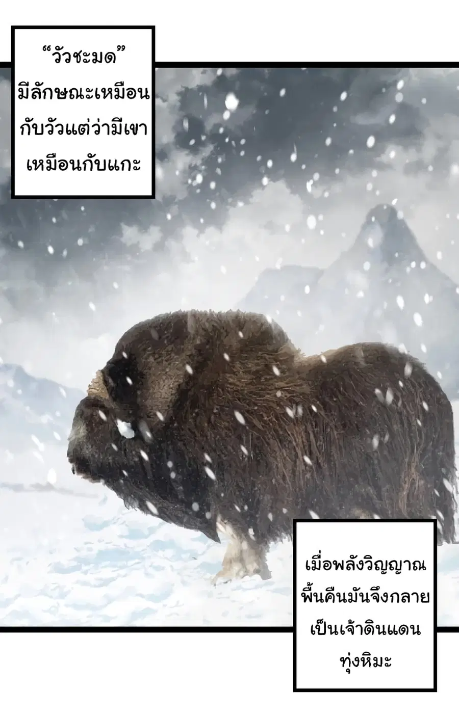 Evolution from the Big Tree ตอนที่ 82 หน้า 5