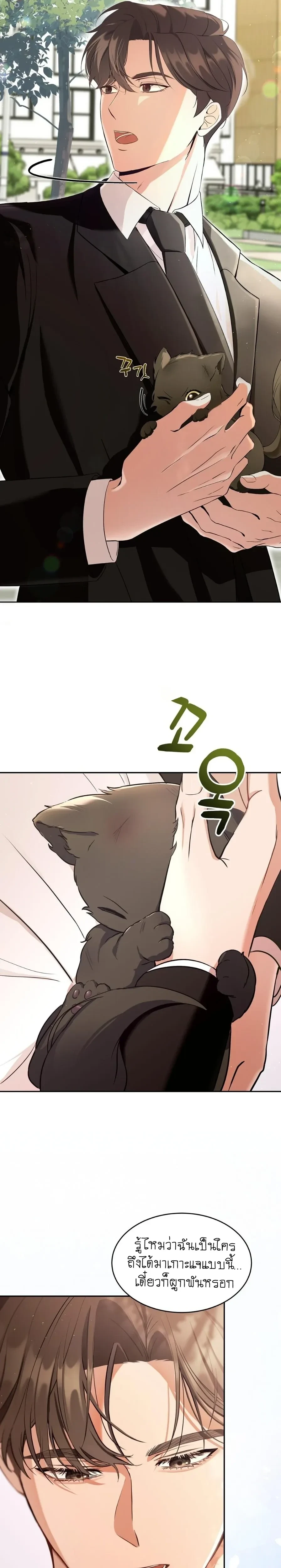Cat Therapy Love – แมวบำบัดรัก ตอนที่ 1 หน้า 20