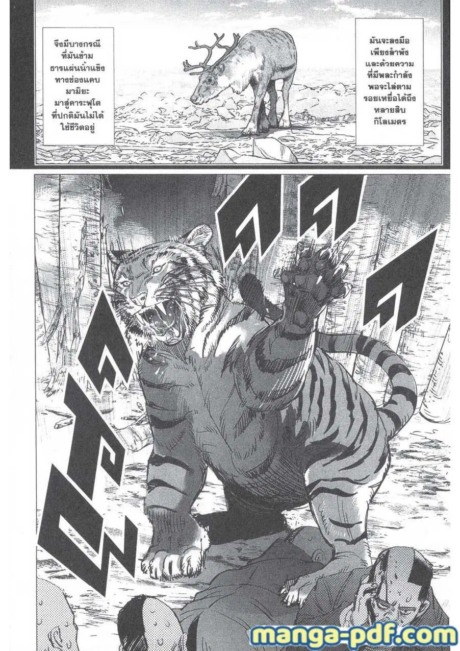 Golden Kamuy ตอนที่ 181 หน้า 7