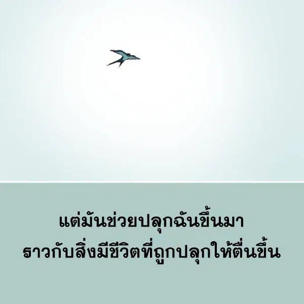 The Boy of Death ตอนที่ 145 หน้า 251