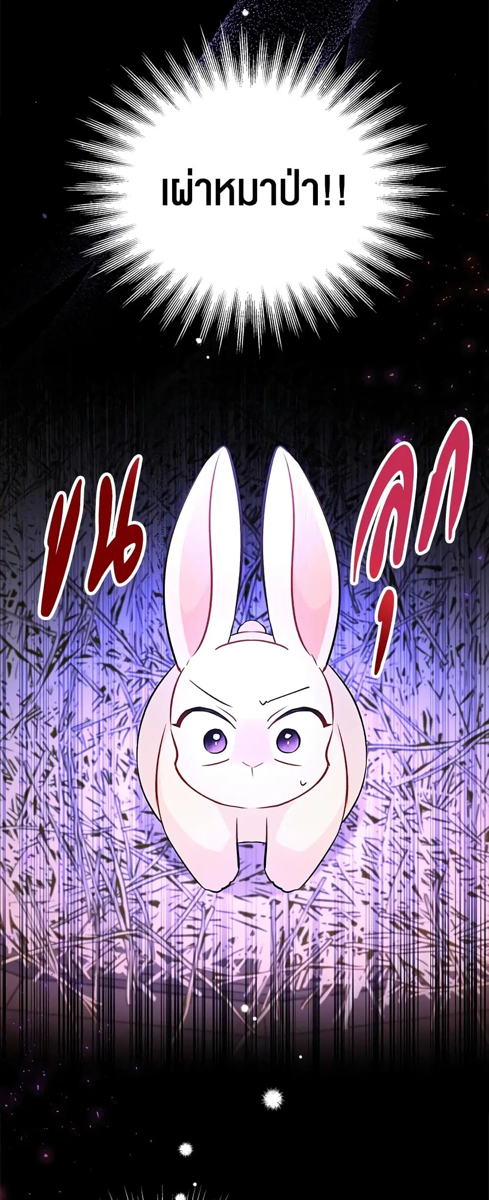The Symbiotic Relationship Between a Panther and a Rabbit ตอนที่ 28 หน้า 15