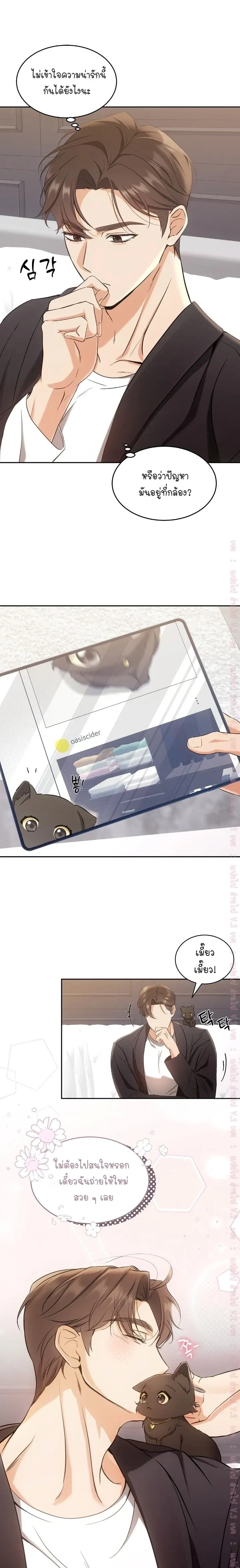 Cat Therapy Love – แมวบำบัดรัก ตอนที่ 2 หน้า 17
