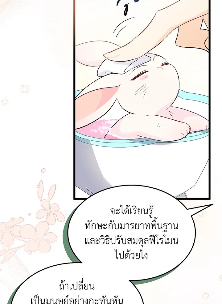 The Symbiotic Relationship Between a Panther and a Rabbit ตอนที่ 84 หน้า 9