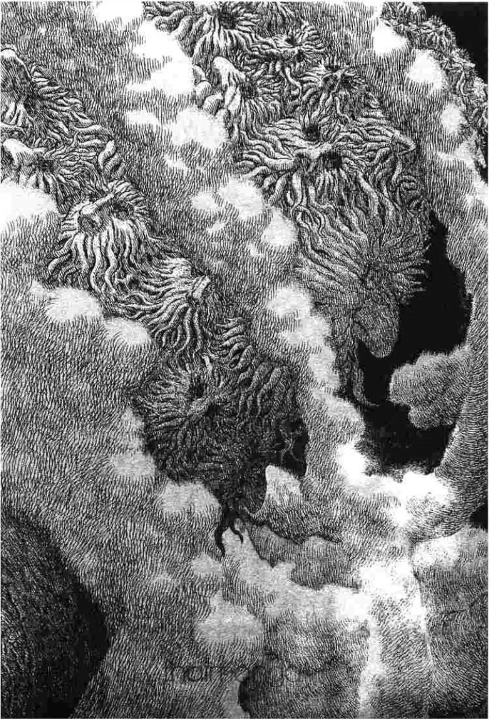 Berserk ตอนที่ 303 หน้า 10