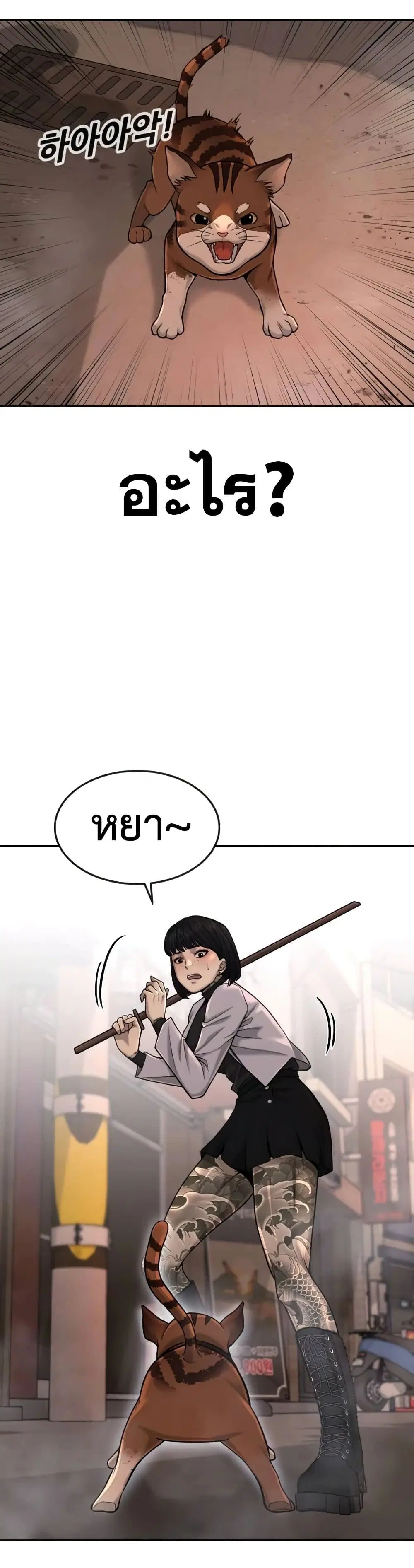 Quest Supremacy ตอนที่ 47 หน้า 19