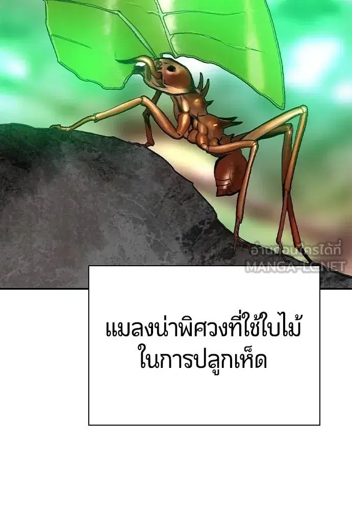 Jungle Juice ตอนที่ 149 หน้า 32
