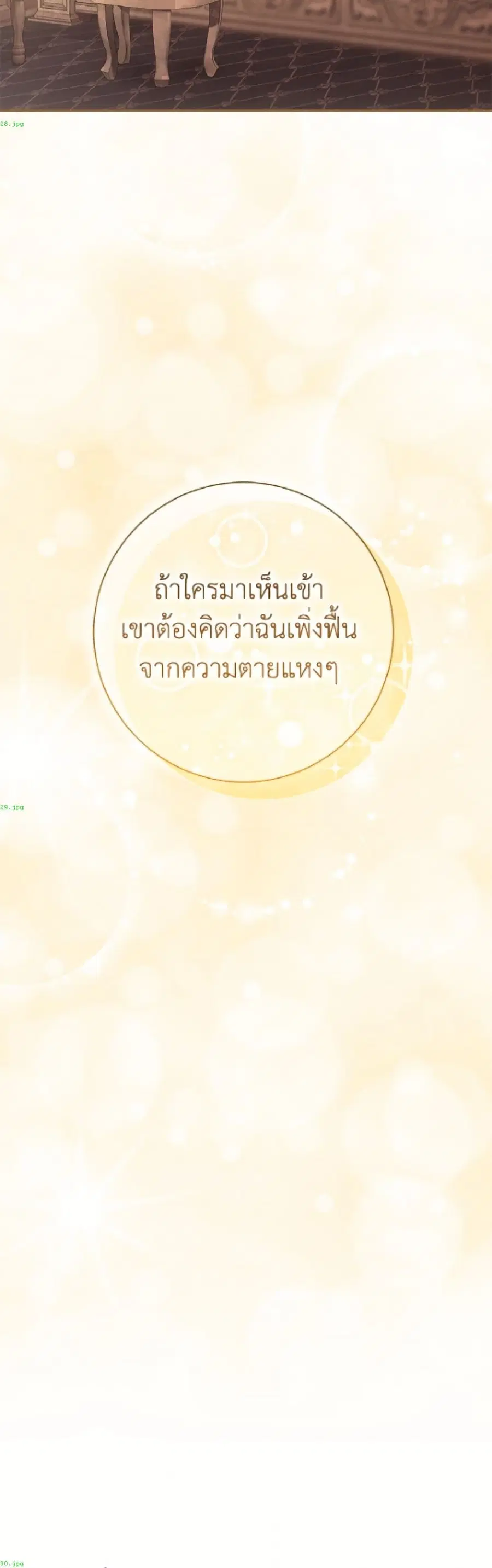 The Villain’s Match Is Too Perfect – คู่ดูตัวของนางร้ายเพอร์เฟกต์เกินไป ตอนที่ 107 หน้า 15