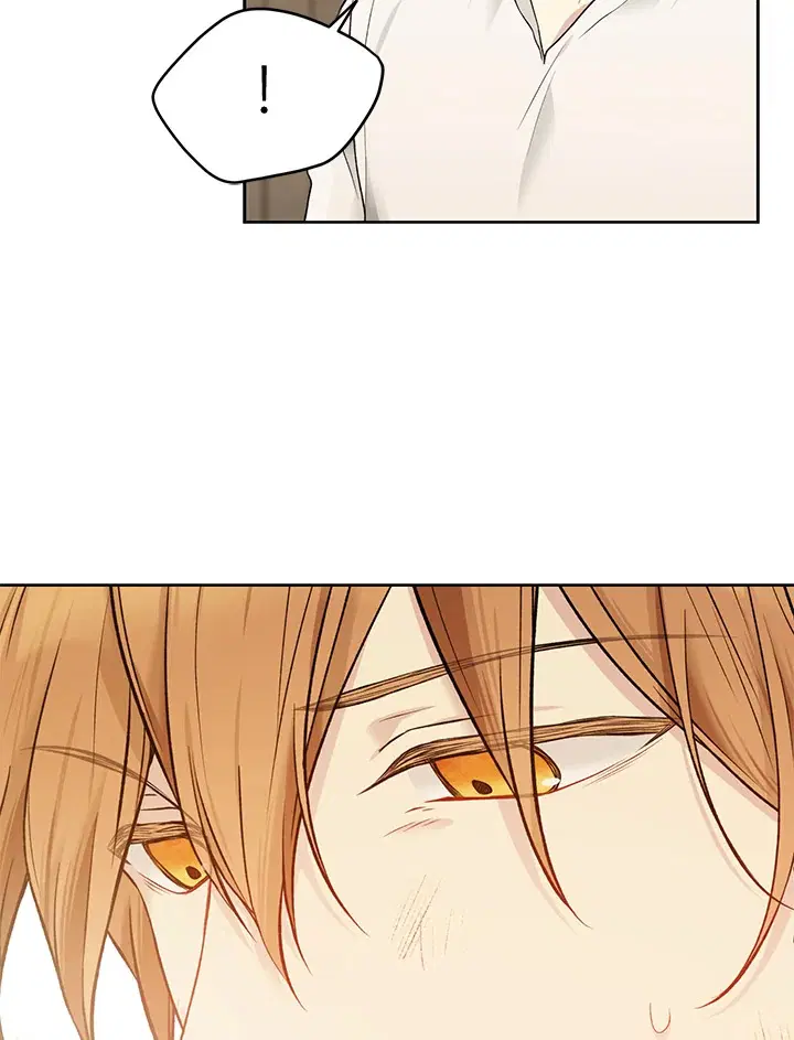 The Viridescent Crown ตอนที่ 58 หน้า 49