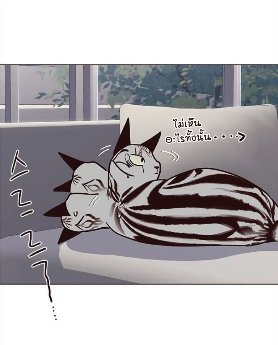 Eleceed ตอนที่ 37 หน้า 36