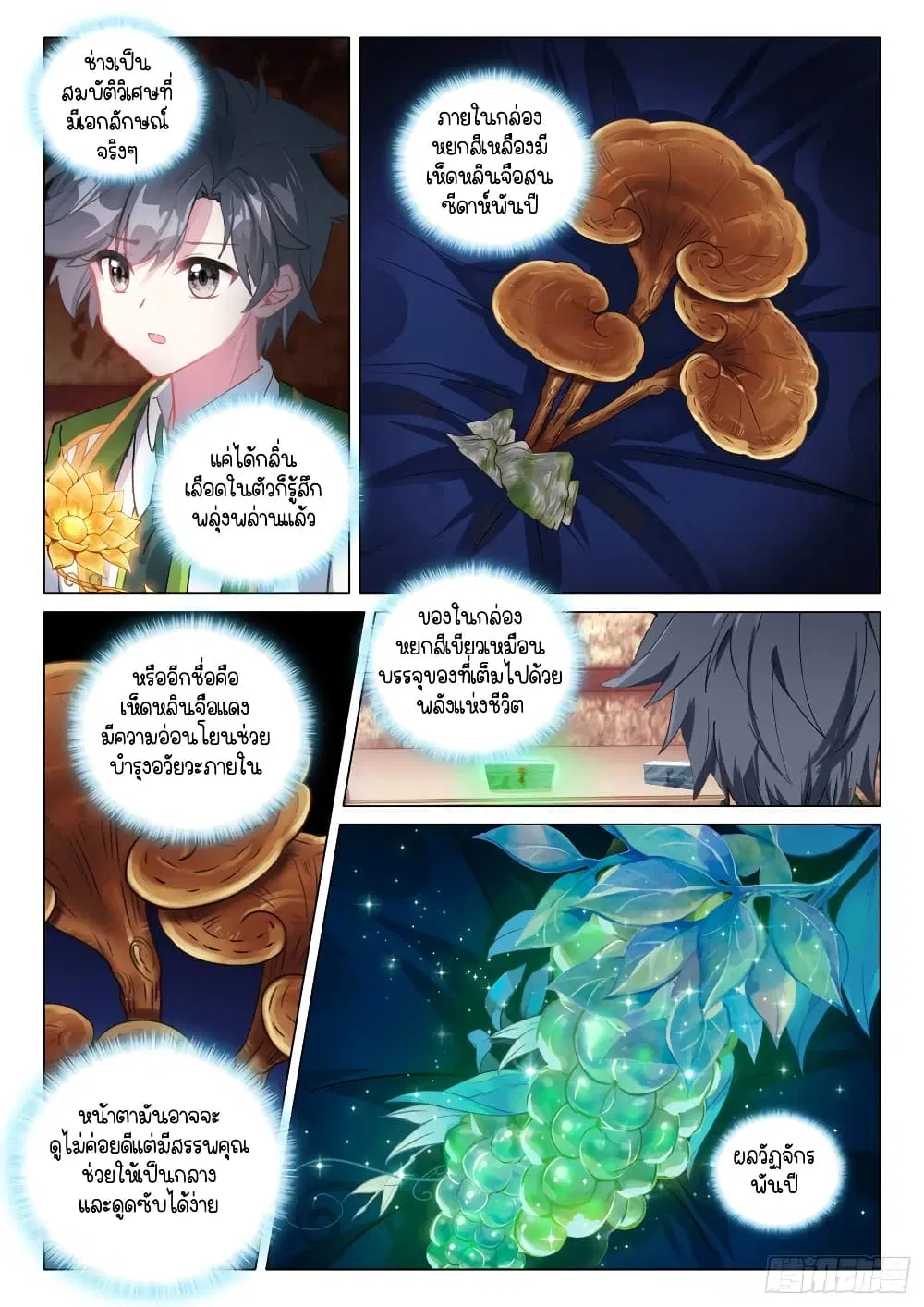 Douluo Dalu III: Longwang Chuanshuo ตอนที่ 276 หน้า 13