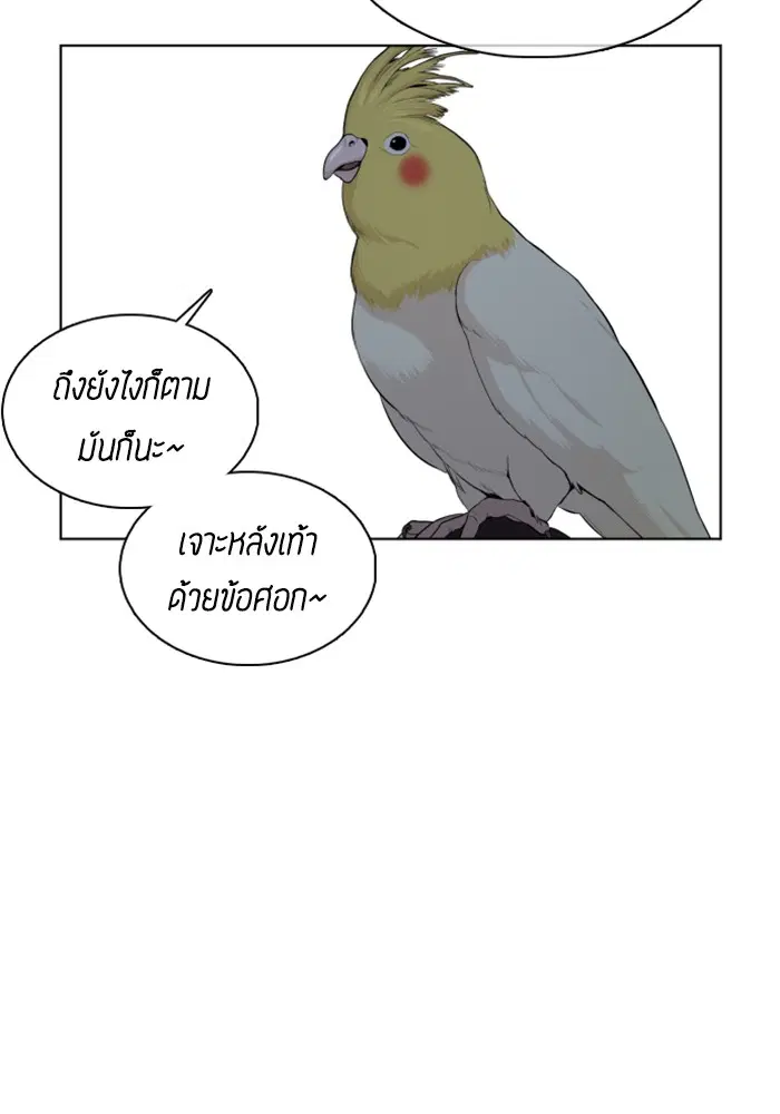 How to Fight ตอนที่ 44 หน้า 13