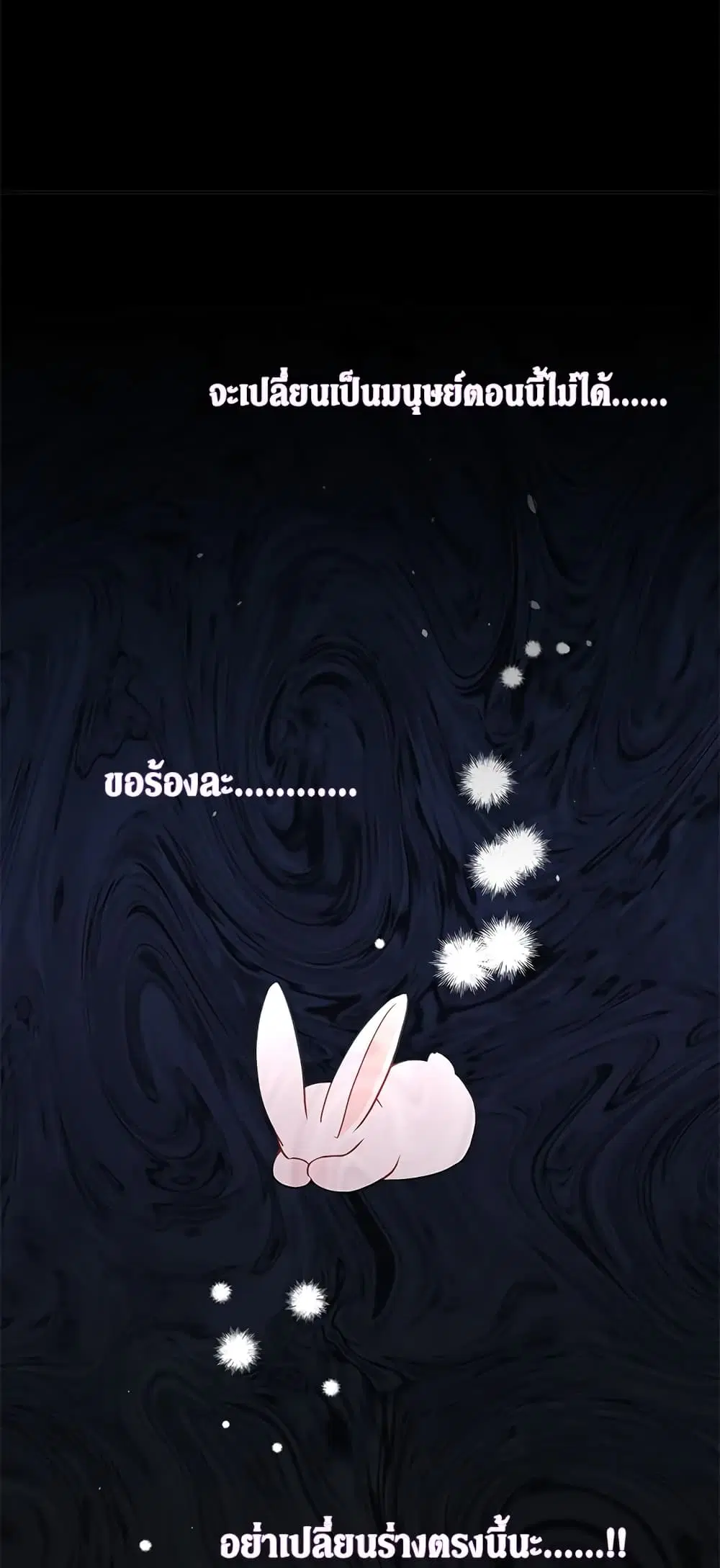 The Symbiotic Relationship Between a Panther and a Rabbit ตอนที่ 27 หน้า 39