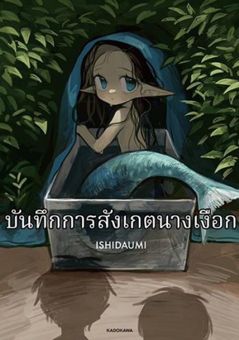 Mermaid Observation Diary