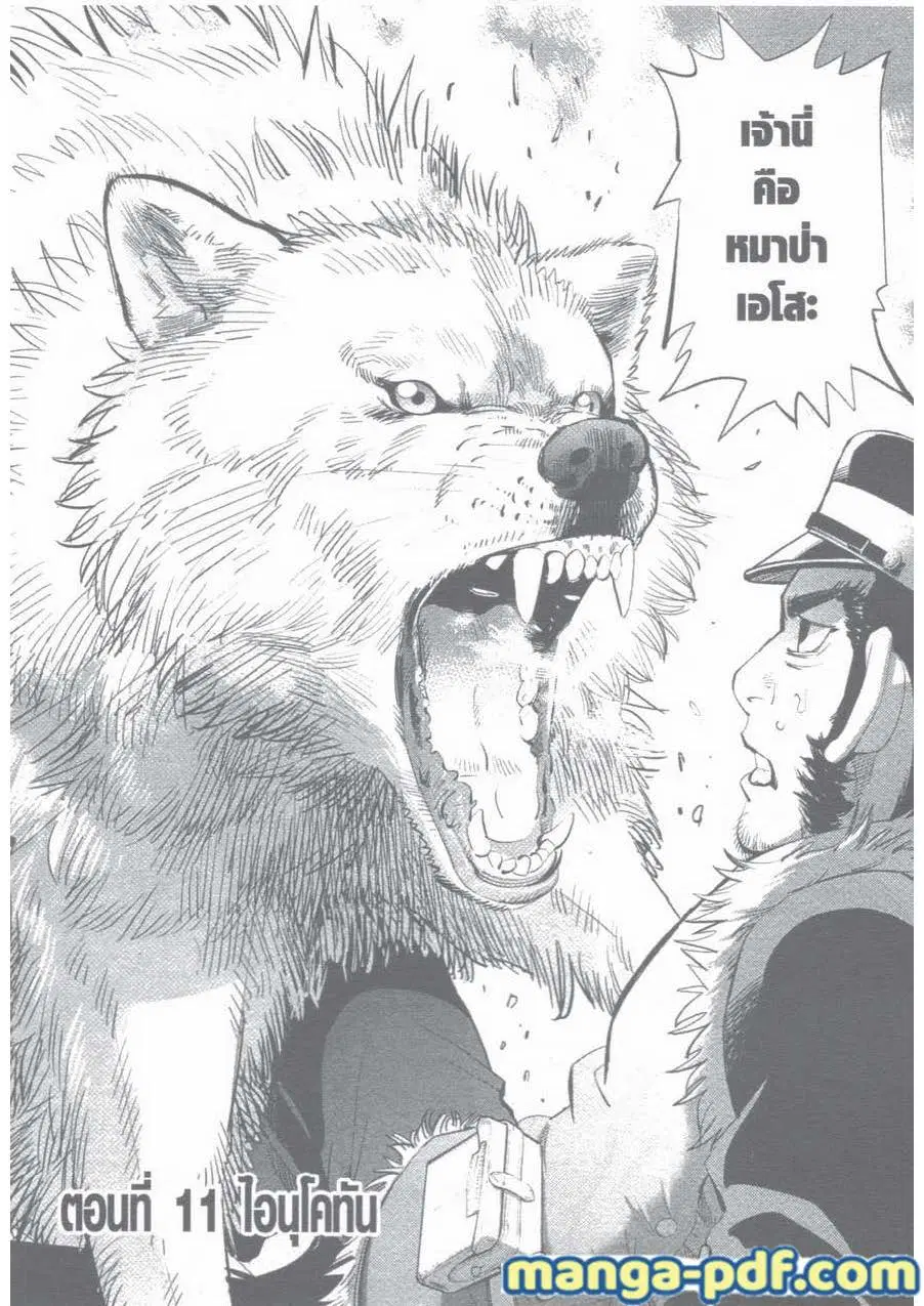Golden Kamuy ตอนที่ 11 หน้า 1
