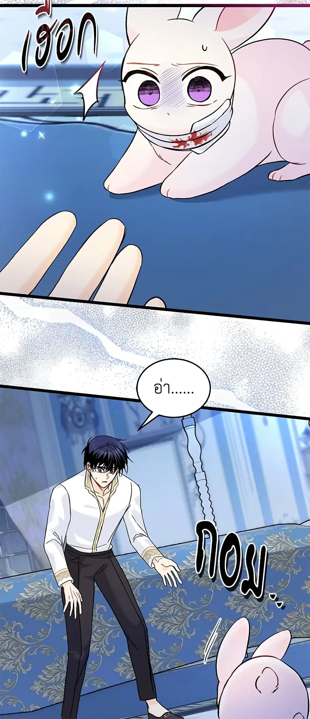The Symbiotic Relationship Between a Panther and a Rabbit ตอนที่ 120 หน้า 12