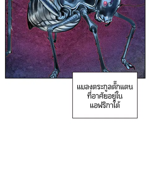 Jungle Juice ตอนที่ 60 หน้า 32