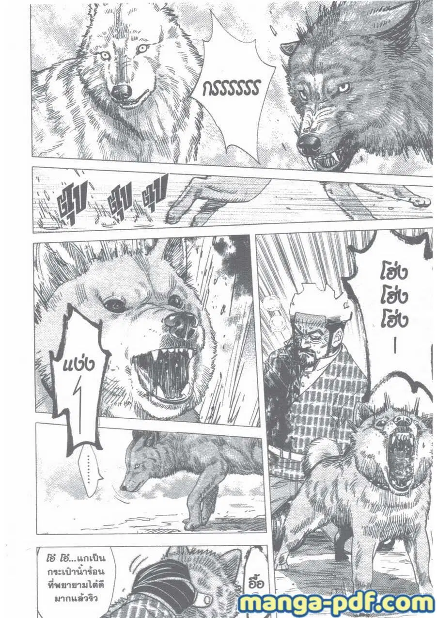 Golden Kamuy ตอนที่ 29 หน้า 14