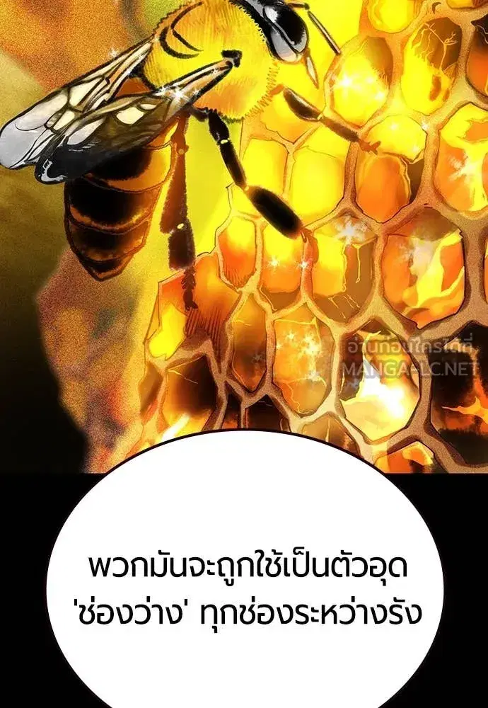 Jungle Juice ตอนที่ 162 หน้า 116