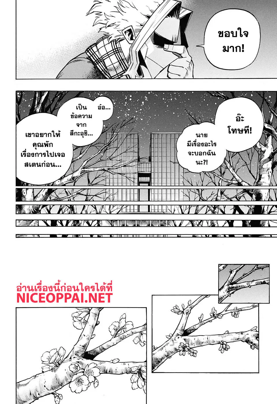 Boku no Hero Academia (My Hero Academia) ตอนที่ 257 หน้า 17
