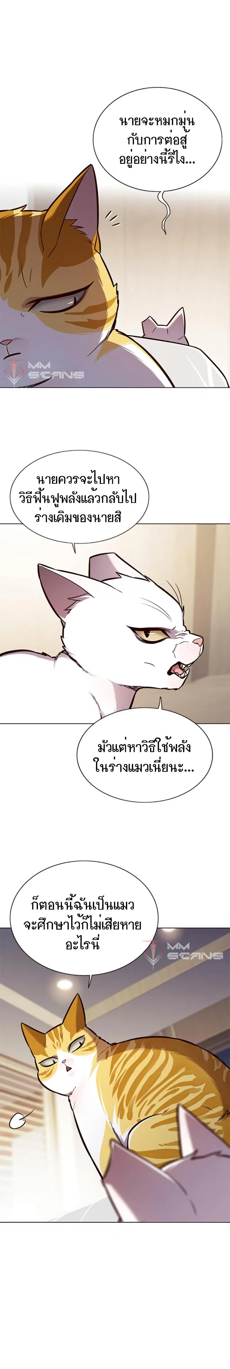 Eleceed ตอนที่ 164 หน้า 8
