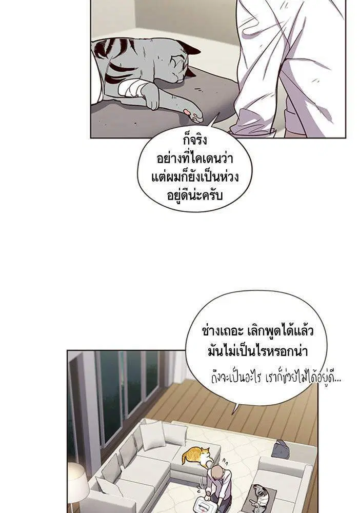 Eleceed ตอนที่ 4 หน้า 19