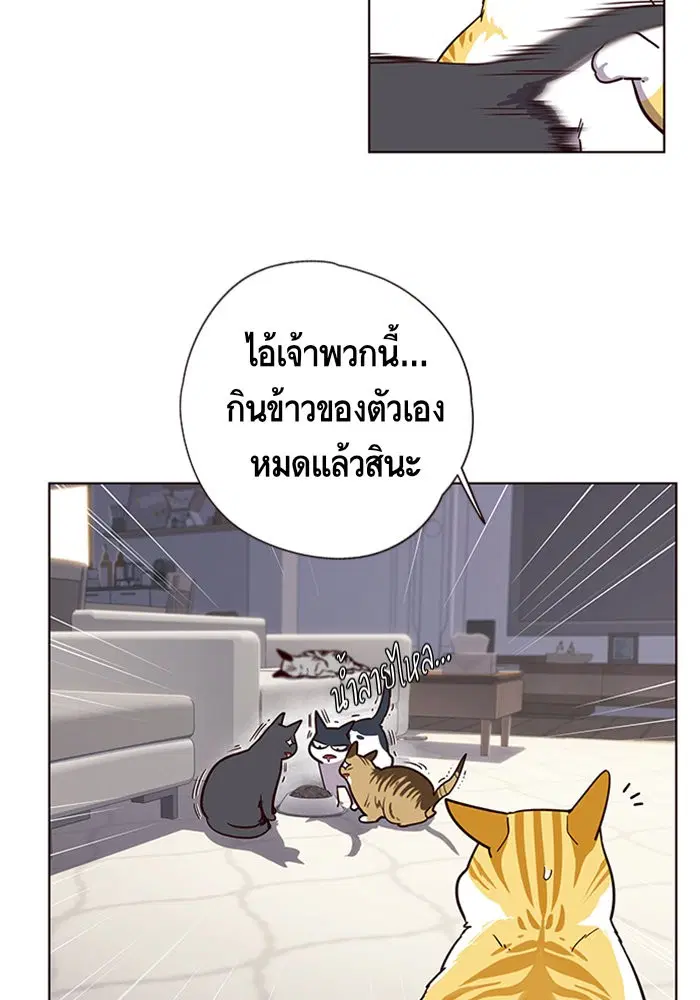 Eleceed ตอนที่ 9 หน้า 31