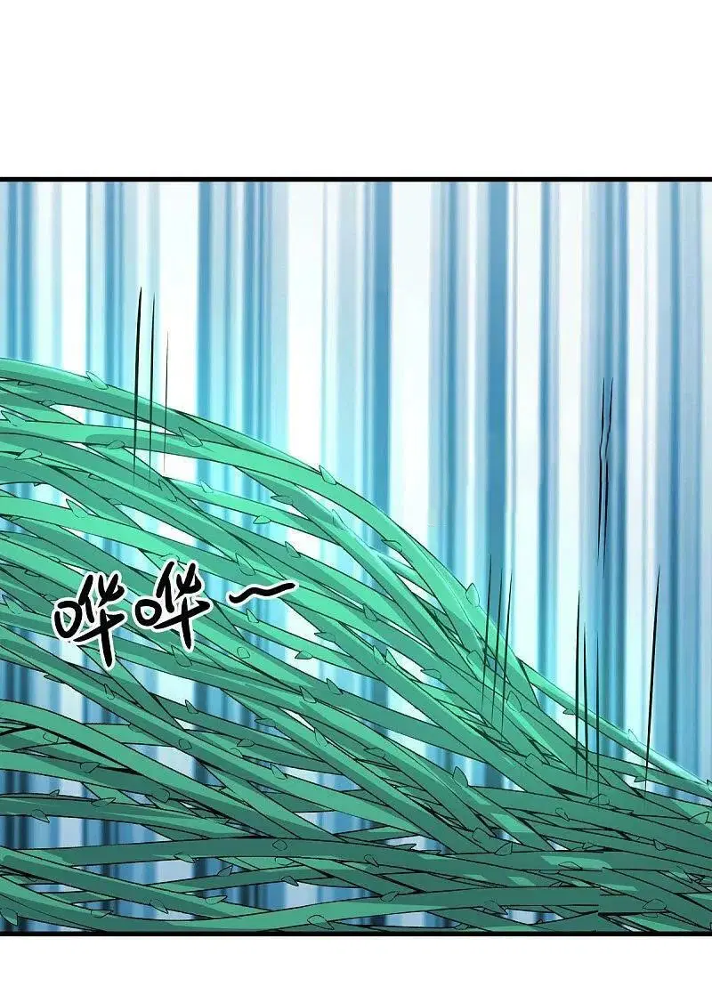 Peerless Battle Spirit ตอนที่ 562 หน้า 29