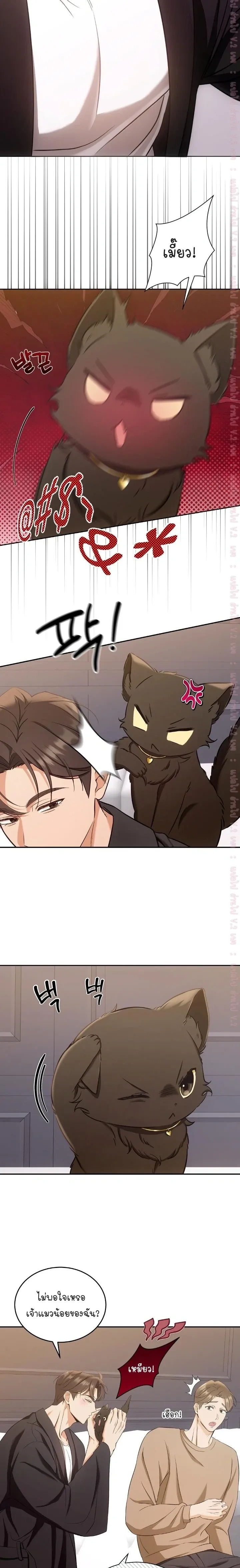 Cat Therapy Love – แมวบำบัดรัก ตอนที่ 2 หน้า 18
