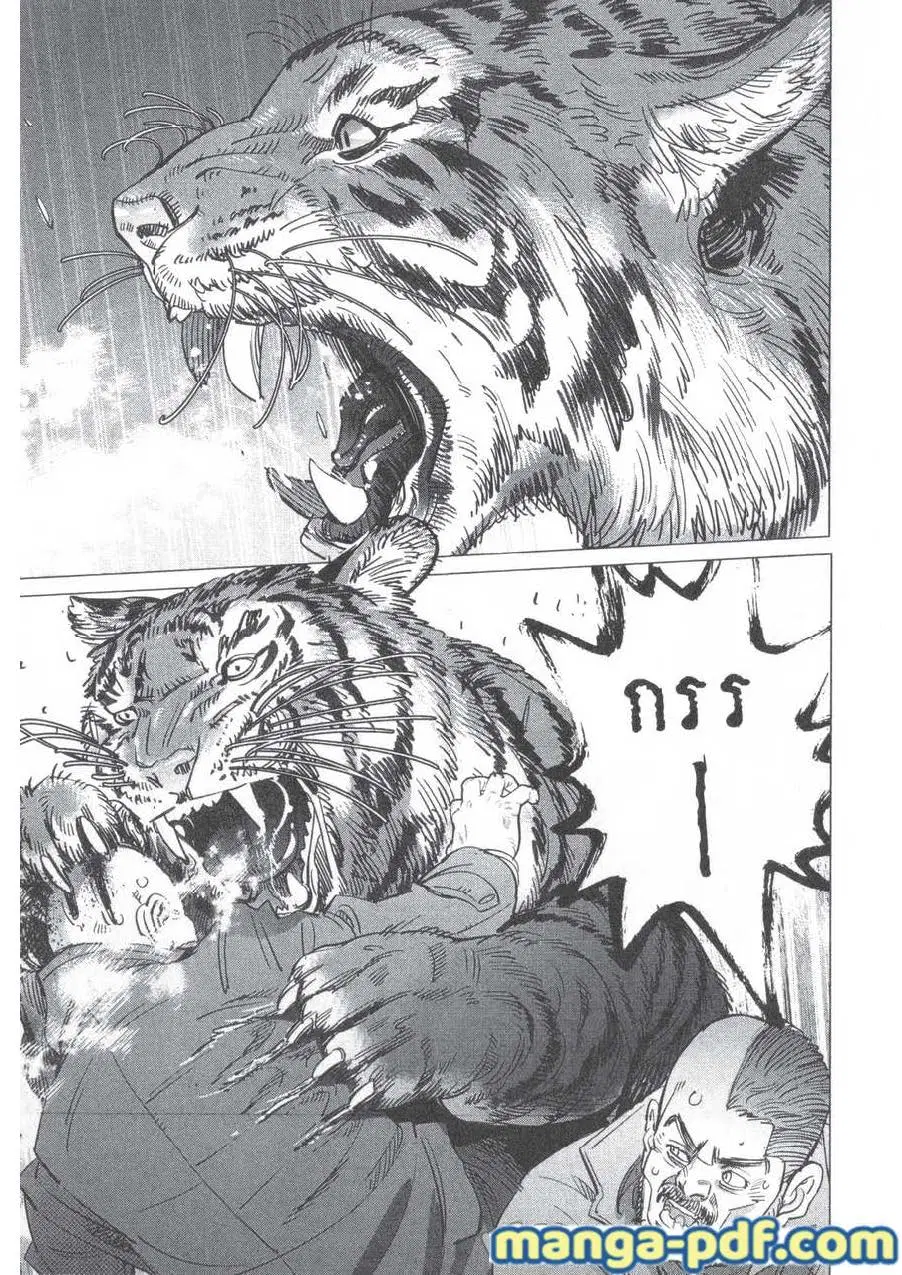 Golden Kamuy ตอนที่ 181 หน้า 4