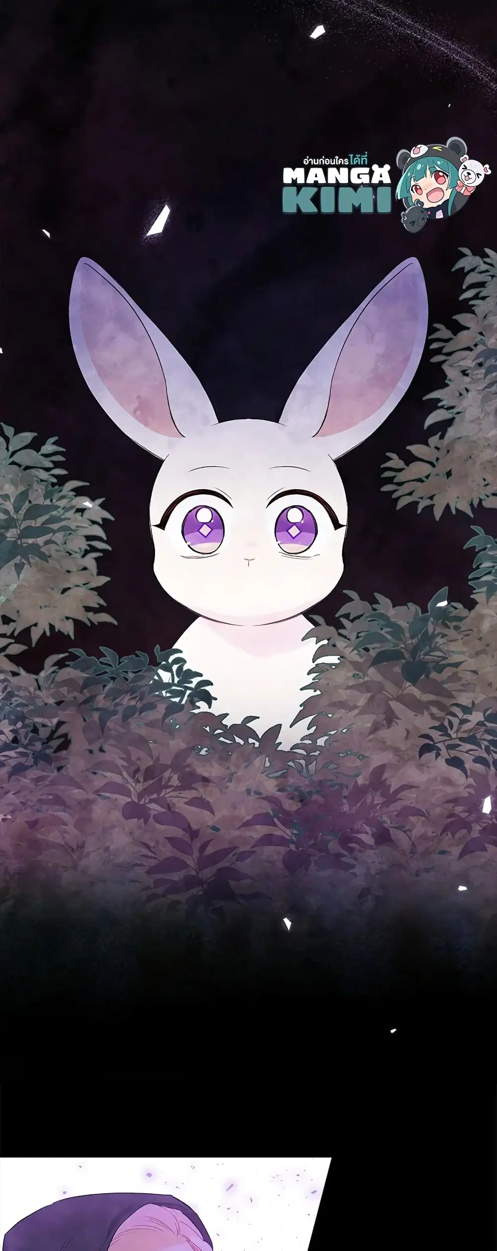 The Symbiotic Relationship Between a Panther and a Rabbit ตอนที่ 82 หน้า 11