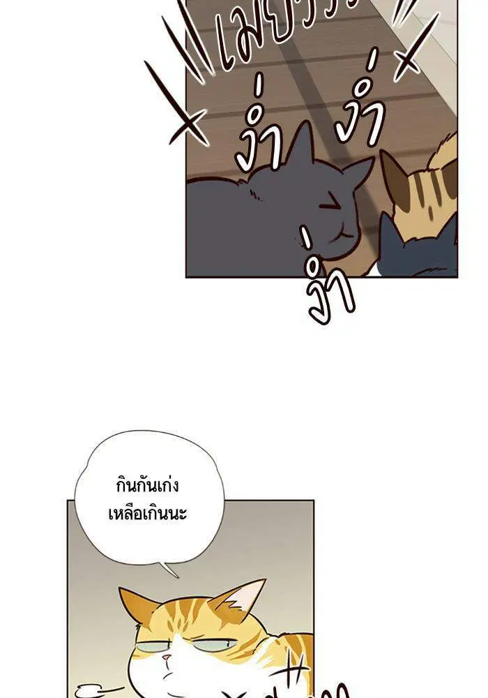 Eleceed ตอนที่ 6 หน้า 70