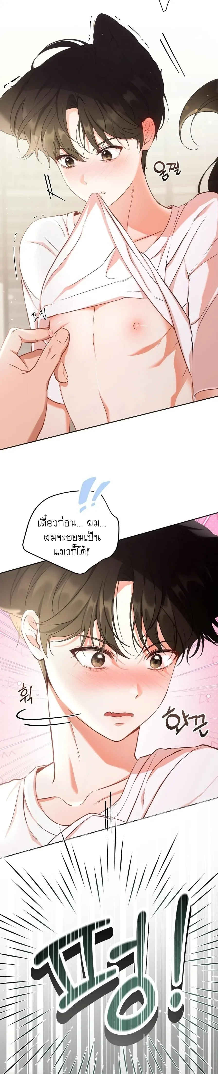 Cat Therapy Love – แมวบำบัดรัก ตอนที่ 1 หน้า 5