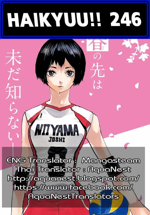 Haikyuu!! ตอนที่ 246 หน้า 18