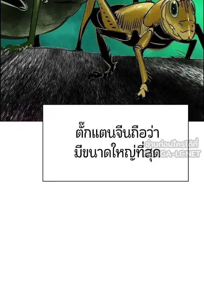 Jungle Juice ตอนที่ 193 หน้า 52