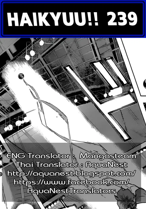Haikyuu!! ตอนที่ 239 หน้า 19