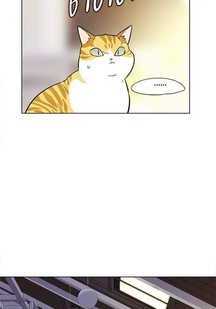 Eleceed ตอนที่ 6 หน้า 51