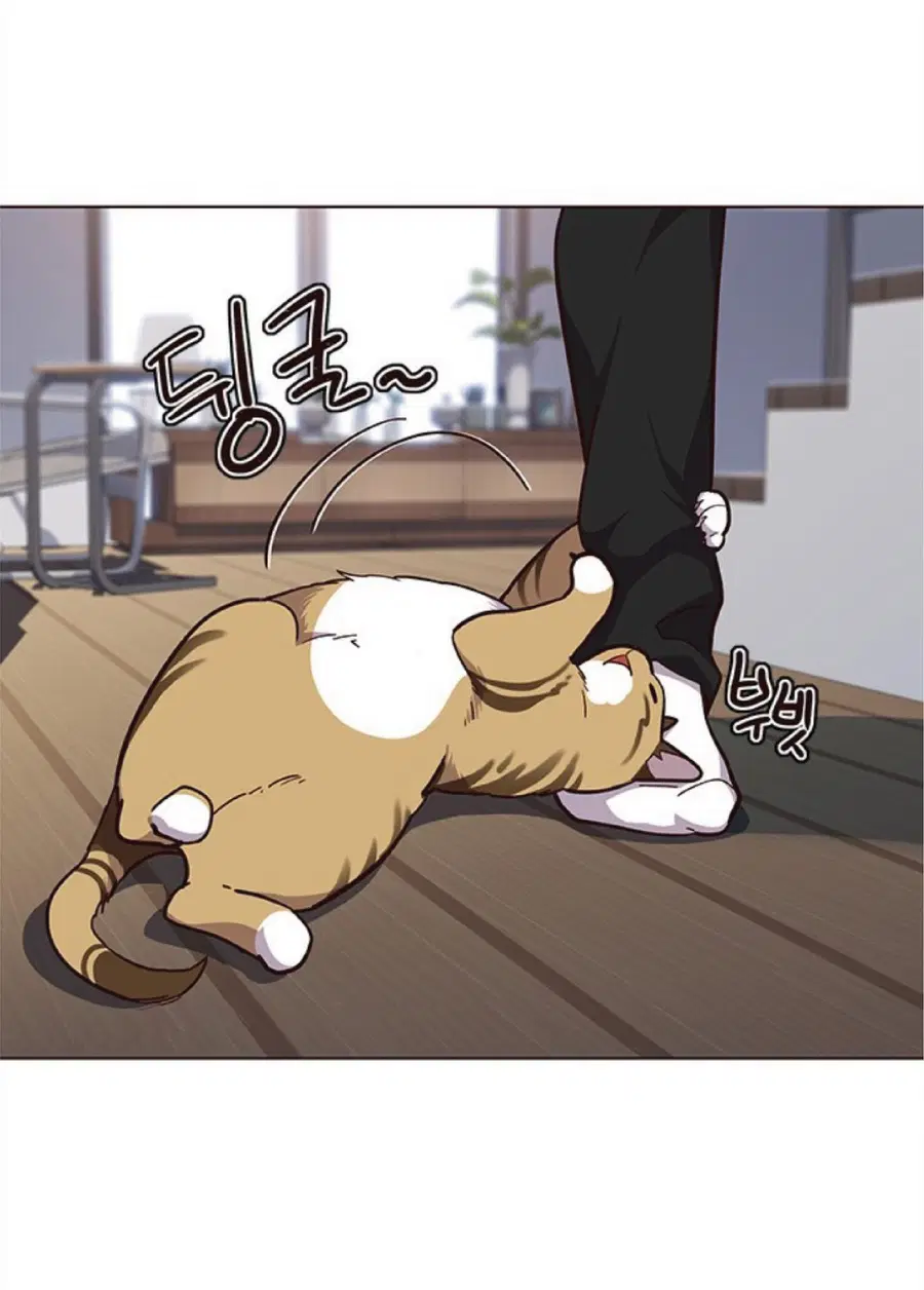 Eleceed ตอนที่ 35 หน้า 11
