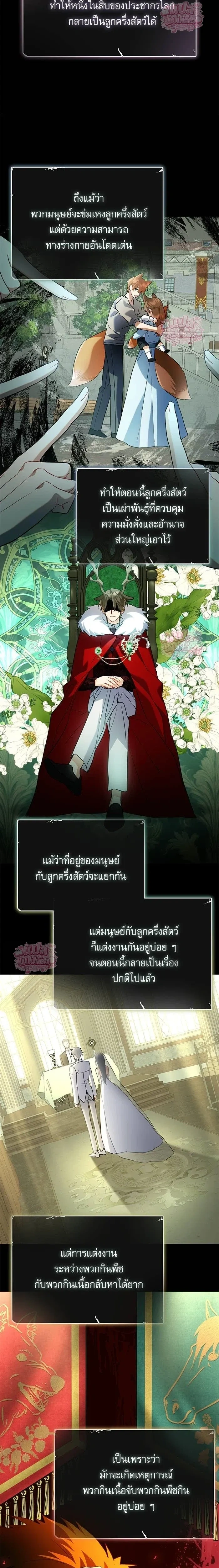Mon mari lapin insatiable – สามีกระต่ายไม่ตรงปก ตอนที่ 3 หน้า 11