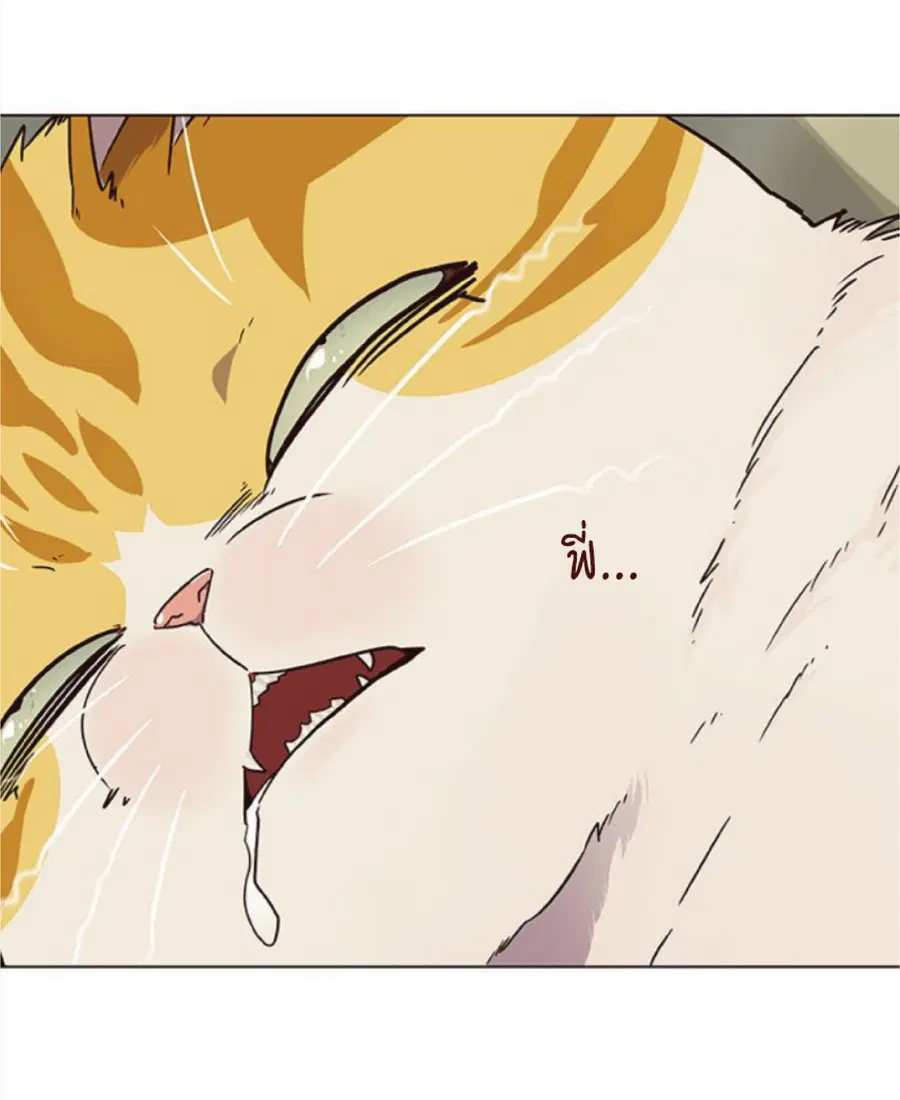 Eleceed ตอนที่ 30 หน้า 84