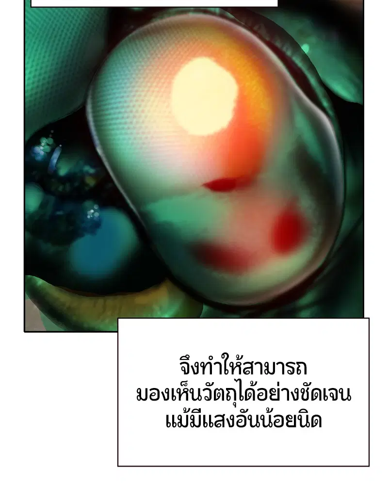 Jungle Juice ตอนที่ 34 หน้า 141