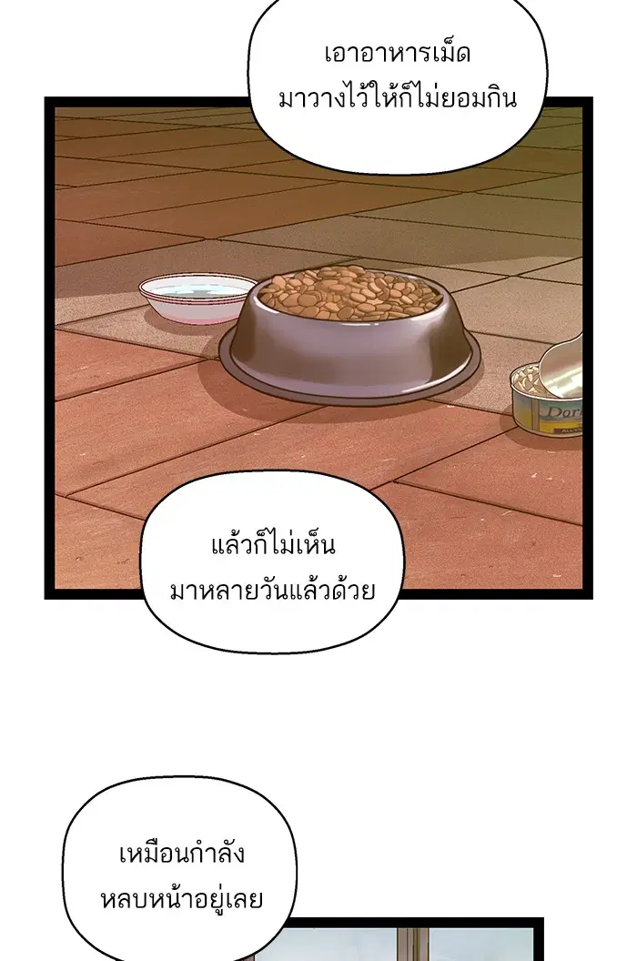 Weak Hero ตอนที่ 90 หน้า 69