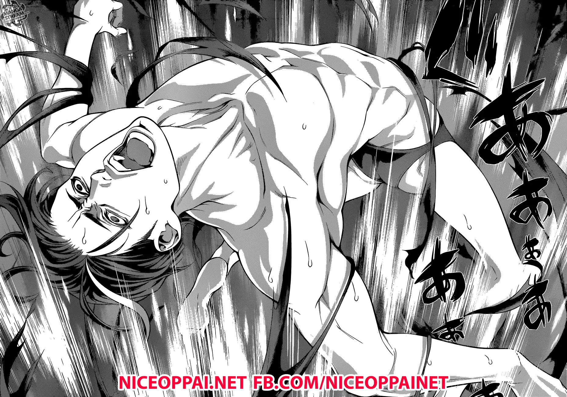 Shokugeki no Soma ตอนที่ 262 หน้า 13
