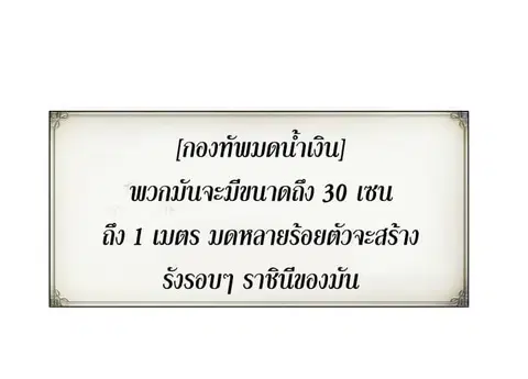 Ranker Who Lives A Second Time ตอนที่ 9 หน้า 36
